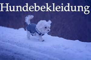 hundebekleidung