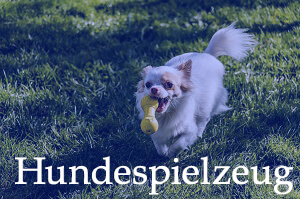 Zubehör 4 Zubehör 1