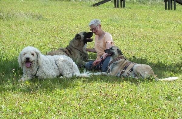 mirjam cordt hundeschule