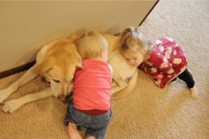 Hund und Kind Hund und Kind