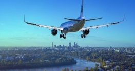 hunde-im-flugzeug