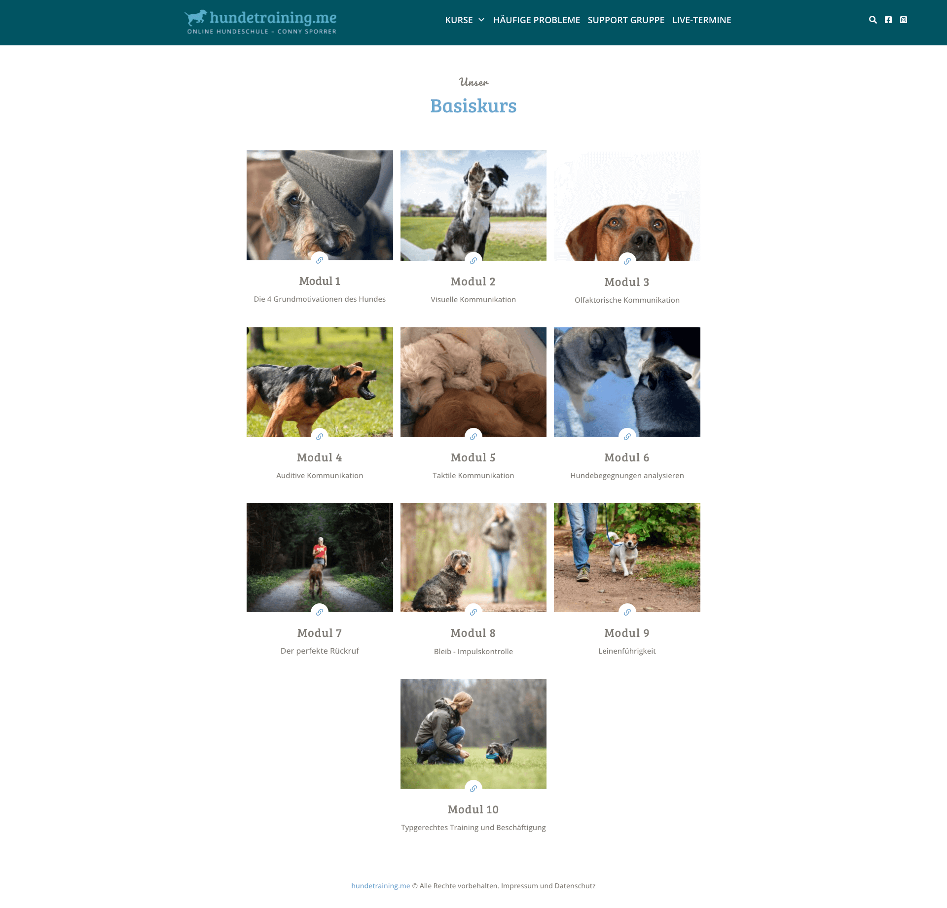 Online-Hundeschule-Conny-Sporrer-Basiskurs Online-Hundeschule-Conny-Sporrer-Basiskurs