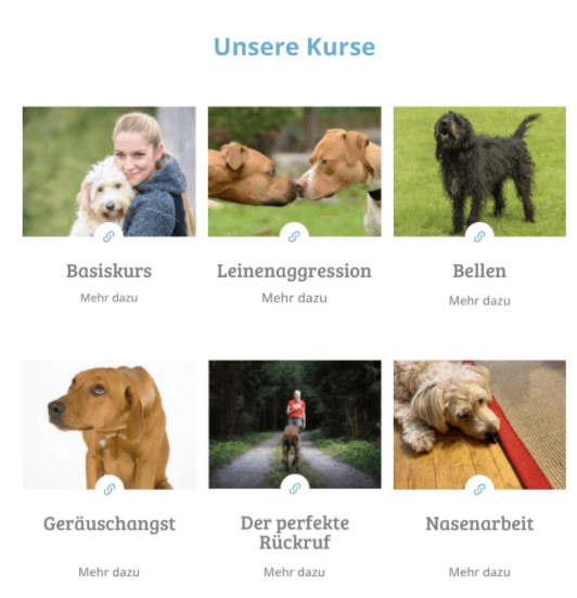 Online-Hundeschule-Conny-Sporrer-Kurse