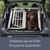 Juskys Alu Hundetransportbox XL - 96 × 91 × 70 cm – Auto Hundebox robust & pflegeleicht – 2 Gittertüren verschließbar - Reisebox für Hunde - 4