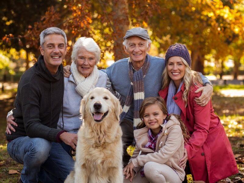 Familienhund - Welche Rasse ist geeignet