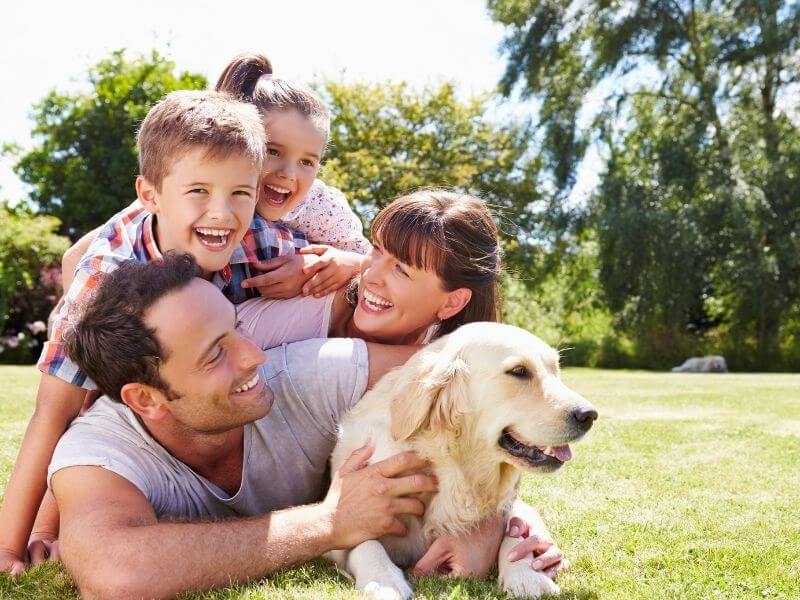 Familienhund für Kinder