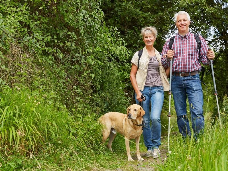 Wann zu alt für einen Hund