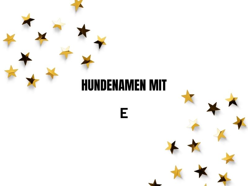 Hundenamen mit E Hundenamen mit E