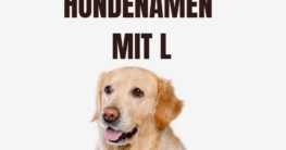 Hundenamen mit L
