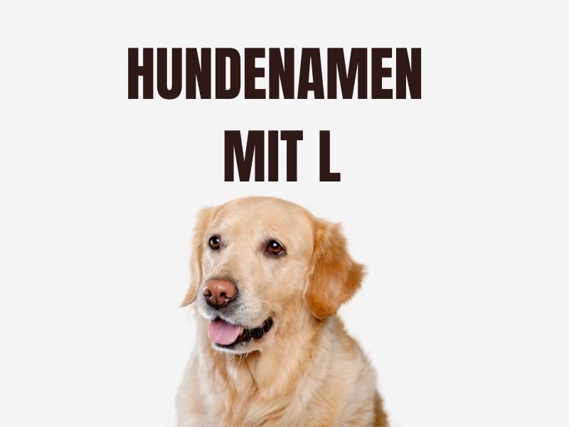 Hundenamen mit L Hundenamen mit L