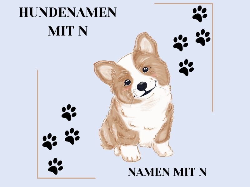 Hundenamen mit N Hundenamen mit N