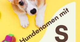 Hundenamen mit S