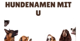 Hundenamen mit U