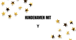 Hundenamen mit Y