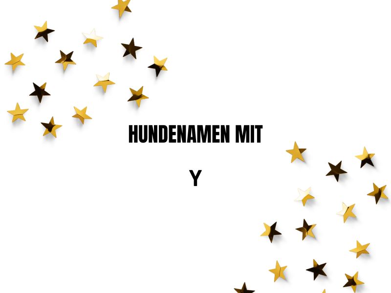 Hundenamen mit Y Hundenamen mit Y